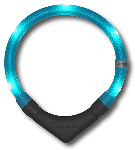 LEUCHTIE® Plus Leuchthalsband Hund batteriebetrieben, wasserdichtes LED Halsband, Hundehalsband Leuchtend mit 100 h Leuchtdauer, enorm hell, türkis Größe 47,5