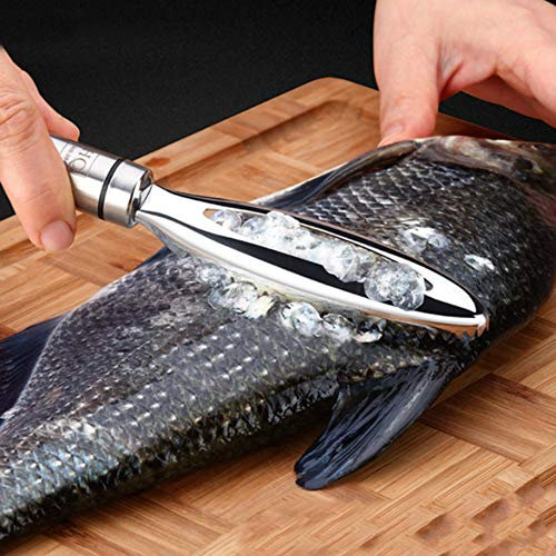 Fish Scale Remover, Fish Scaler Fish Descaler Tool Fish Scale Scraper Fish Scale Peeler Fish Scale Brush for Scale Peeling Stainless Steel Fish Scale Cleaner Kitchen Tools Easily Remove Fish Scales