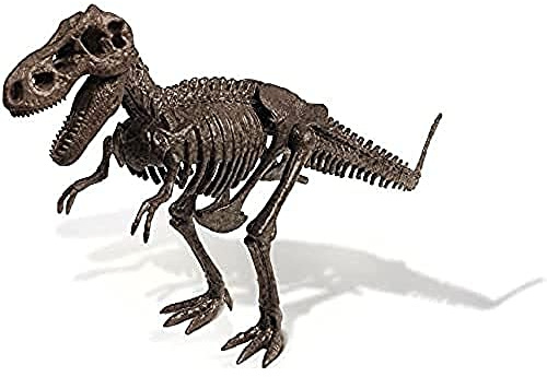 Dr Steve Hunters 91030 Dino Dig Ausgrabungsset, 13-teilig, Uncle Milton wissenschaftliches Lernspielzeug, Mehrfarbig