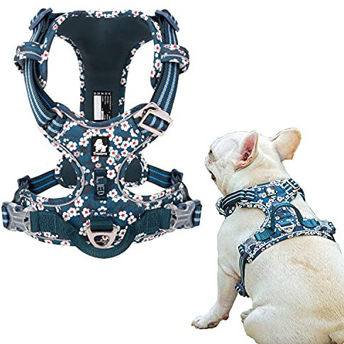 Tineer Blumenmuster No-Pull Hundegeschirr Reflektierendes Nylon Verstellbare Weiche, gepolsterte Weste Geschirr Training Einfacher Steuergriff für kleine mittelgroße Hunde (L Brust: 69-81cm, Blau)