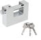 Zinc Alloy D Shaped Padlock with 3 Keys, for Gates, Containers, and Garage Doors (60mm)