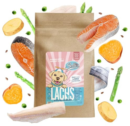 Sollis Welpenfutter für Hunde Trocken | Getreidefrei & Zuckerfrei | Lachs | Junior Trockenfutter für Hunde | 2kg