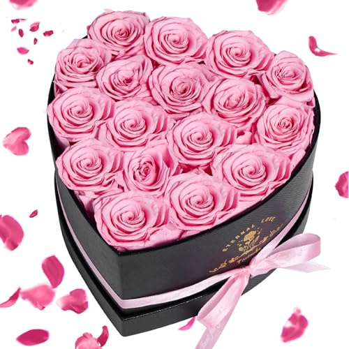 Touloube 17 Infinity Rosen Geschenk für Frauen, Ewige Rosa Rose Geschenke, Konservierte Rose in Herzbox für Mama Freundin zum Geburtstag Jahrestag Valentinstag Muttertag Hochzeitstag Rosenbox