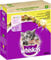 WHISKAS® Karton Trocken Junior mit Huhn 800g