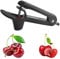 Kirschentkerner,Kirschenentkerner,Edelstahl Kirschkernentferner,Obst Corer,Premium Tragbarer Entsteiner Kirschen,Kirschentsteiner,Kirschen Entkerner,Cherry Pitter,für Fruit Pit Remover(Schwarz)