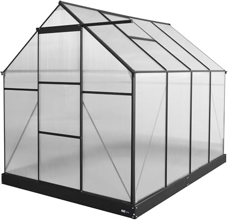 AXI Simon Gewächshaus aus Aluminium & Polycarbonat in Schwarz | Treibhaus mit Schiebetür & Fenster Winterfest | Mit integrierter Drainage | 250x190x207 cm