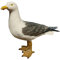 Große Deko Möwe Stehend 23 x 26 x 8,5 cm Maritime Dekoration Figur