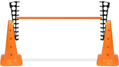 SPORTIKEL24 Agility Hürde 50 cm mit Sprungleitern – extra hohe, verstellbare Kegelhürde für Hundetraining – 100 cm Stange – Orange