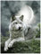 Amdieu 1500 Teile Erwachsener weißer Wolf, jedes Teil zusammen
