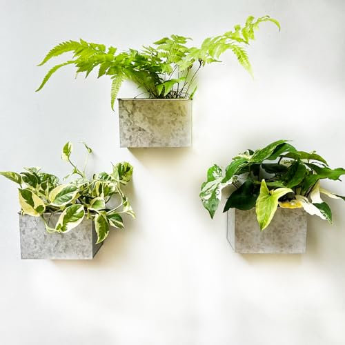 LaLaGreen Wand-Pflanzgefäß (3 Stück, 15,2 cm) Wandhalterung, Pflanzgefäße für Sukkulenten, Silber, rechteckiger Metall-Blumentopf, Fensterkasten, Zaun, Geländer, minimalistisch, rustikal, schwebendes