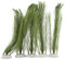 Veumoie Aquarium Decorations Fish Tank Artificial Green Made Of Silk Fabrics Plastic,for All Fish and Pets 5Pcs