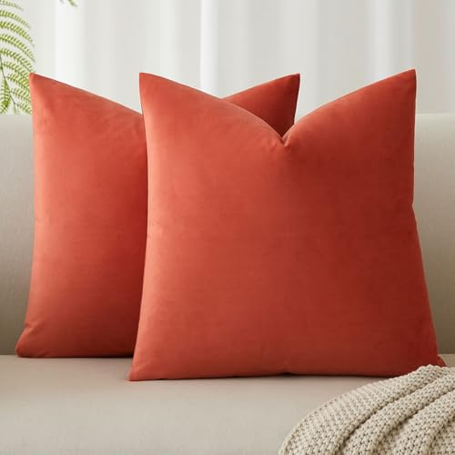 JUSPURBET 16x16 Decorative Velvet Throw Pillow Covers Set of 2,Apricot | JUSPURBET Soft Solid Small Pillow Covers,for Chair Living Room Bedroom,Luxury Modern Home Decor,Invisible Zipper,Square