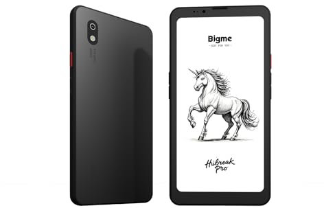 Bigme HiBreak Pro E-Ink Cell Phone, Androide 14,8 + 256 GB, colore nero