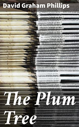 The Plum Tree: Exploring class disparity and social issues in the Gilded Age through a dramatic tale of love and injustice