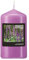 Gala Flavour by GALA Duft-Stumpenkerze Ø 58 mm, 110 mm violett - Lavender 96901 Duftkerze Deko-Kerze, 6 Stück