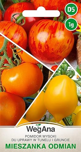 WegAna Tomaten Hohe fürTunnel und Feld 1g Samen Drei Farben Sortenmix Tomatensamen Robuste Gemüsesamen, Gemüse Samen Anzucht Saatgut für Gewächshaus Garten