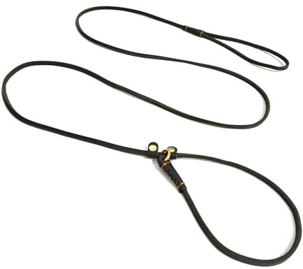 LWBMG Retrieverleine aus echtem Leder, verstellbare Hundetrainingsleine, weiches Echtleder für kleine Hunde, 1,7 m x 0,6 cm, Schwarz