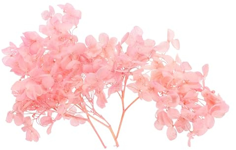 PATIKIL Dried Hydrangea Flower, 10g Natural Pressed Flowers Real Hydrangeas Petals for DIY Resin Crafts Card Floral Gift Candle Making Decor, Pink