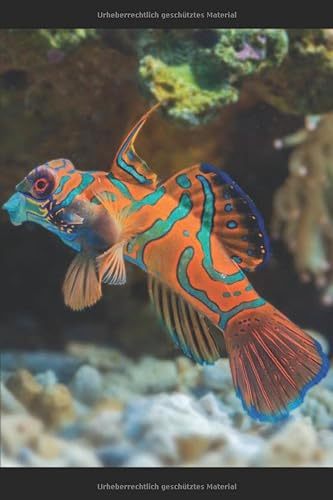Aquarium Tagebuch: Planer, Notizbuch, Bestandsbuch, Futterplan für alle Auqarianer und Aquaristik Fans ♦ Logbuch für über 100 Einträge ♦ 6x9 Format ♦ Motiv: Aquariumfisch