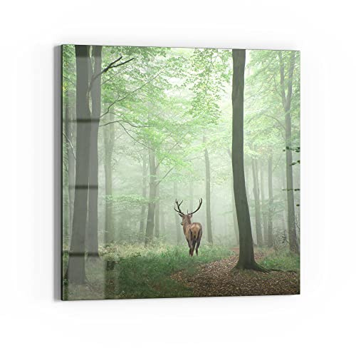 DEQORI Glasbild Echtglas | Motiv Hirsch zwischen Bäumen | quadratisch einteilig 50x50 cm | schöne Dekoration | Wandbild für Wohnzimmer, Schlafzimmer, Flur & Küche | moderne Wanddeko