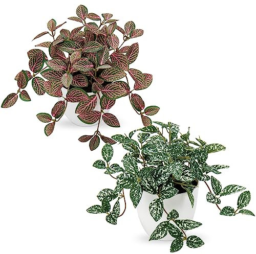 Small Artificial Plants Indoor in Pot Set of 2 Decorative Fake Plants Realistic Faux Plant Potted for Home Aesthetic Living Room Bathroom Desk Shelf Office Decoration
