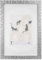 walther design Mosaic Bilderrahmen, 10x15 cm, silber, NV015S