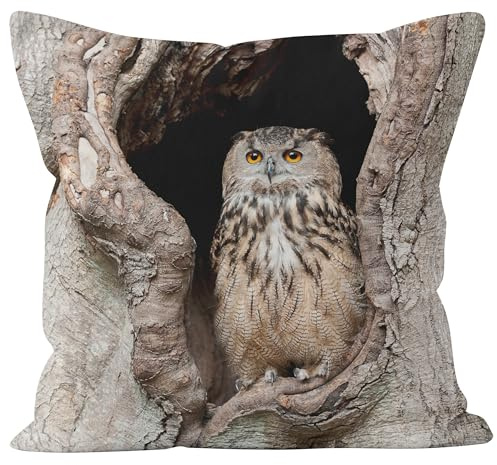CEVAN Leinen Kissenbezüge Orientalisch Kissenbezug Quadratisch Eule Kissenbezüge Uni Kissenhülle Velour Kissenbezüge Sofa Dekor 40x40cm,1Pcs
