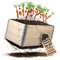 3 Stück Hochbeet für Garten Holz Beet Hochbeete-Kit Palettenrahmen 80x60cm