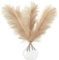 5 Artificial Beige Pampas Grass Stems (UK Company) - Small 44cm Faux Mini Pampas Grass Decor - Dried Flowers & Artificial Flowers
