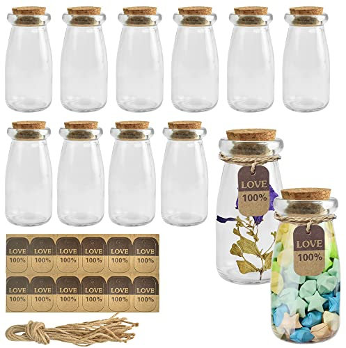 QINERSAW 12x100ml Mini Glasflaschen mit Korken Glasfläschchen mit Korkdeckel Kleine Glasflaschen Mini Kleine Gläser Fläschchen mit Korken Gewürzflaschen Korkenflaschen Gewürzgläser mit Seil Eitketten
