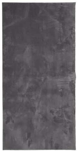 vidaXL Teppich, Wohnzimmerteppich Kurzflor Weich Waschbar, Moderner Teppich für Wohnzimmer Schlafzimmer, Flauschig Einfarbig rutschfest, Anthrazit 100x200cm