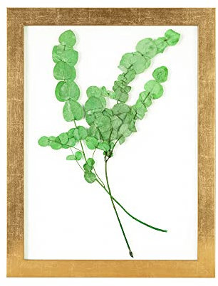 Rahmendesign24 Milano - Marco de fotos doble de cristal (30 x 40 cm), color dorado