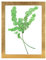 Rahmendesign24 Milano - Marco de fotos doble de cristal (30 x 40 cm), color dorado