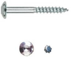 FHZ Tornillo Inviolable 6x50 Zincado Tornillo para verjas, estanterías, vallas, barandillas, tendederos… 4 Unidades