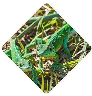6 Stück Auto-Lufterfrischer, lustiger hängender Auto-Lufterfrischer Gecko Eidechsen, niedlich, langlebig, duftender Spiegel, hängende Dekoration, Ornamente, Geschenk, Innendekoration, Zubehör für