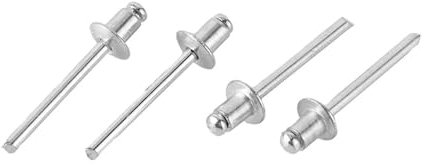 DAGROD SeroNi Rivets Pop à tête Ronde et Plate, 50 pièces, 2.4mm/3.2mm/4mm/4.8mm(4mm)