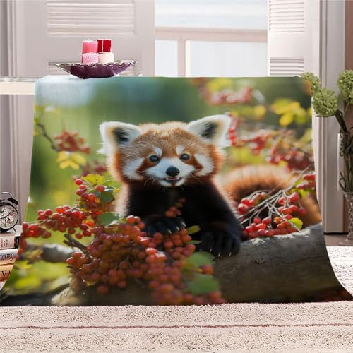 Kuscheldecke Extra Groß 150x200 cm 3D Roter Panda Weiche Warme Flauschige Sofadecke Wohndecke Tierdruck Flanelldecke Tagesdecke Waschbar Microfaser Flauschige