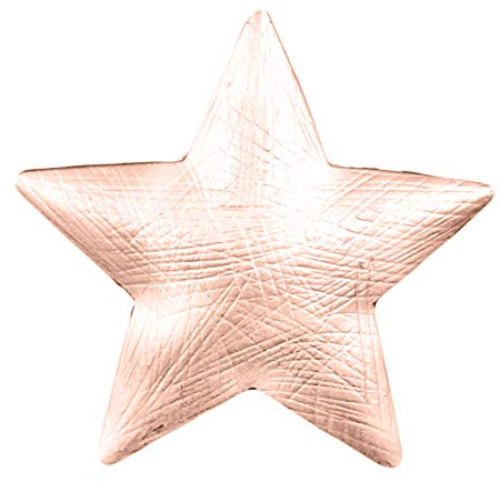 Treend24 Damen Magnet Brosche Stern Rosegold Schal Clip Bekleidung Magnetbrosche Poncho Taschen Stifel Textilschmuck Eule Herz stern