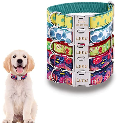 JH Personalised Dog Collar with Name Plate, Adjustable Tough Nylon Customize Engraved ID Collar with Metal Buckle, Options to Matching Style Leash and Bowtie(XS, S, M, L, XL) (Graffiti Style)
