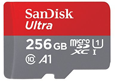SanDisk SDSQUAR-256G-GZFMN Carte mémoire micro SDHC/SDXC Class 10 256 Go (Nouvelle Version)