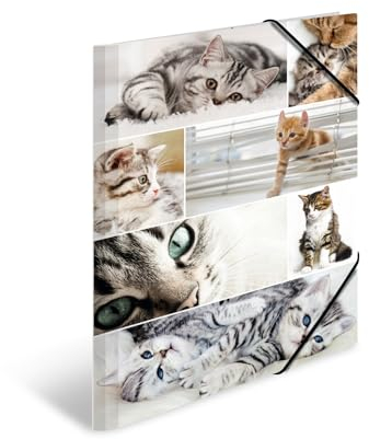 HERMA Sammelmappen A3 Katzen Set, 3 Stück, Kinder Eckspanner-Mappen aus Pappe mit Tier Motiv, Gummizug, Innenklappen und Innendruck für Jungen und Mädchen
