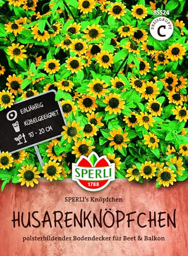 Sperli Husarenknöpfchen SPERLI's Knöpfchen 85524, Blumensaat | Flächig wachsender Bodendecker für Beet, Rabatte, Schalen und Einfassungen, Balkonblumen, 15-20 cm, Wuchshöhe 15-20 cm