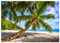 wandmotiv24 Fototapete Strand Meer Palmen, XL 350 x 245 cm - 7 Teile, Wanddeko, Wandbild, Wandtapete, Kokosnuss Sand Palme Himmel M6857