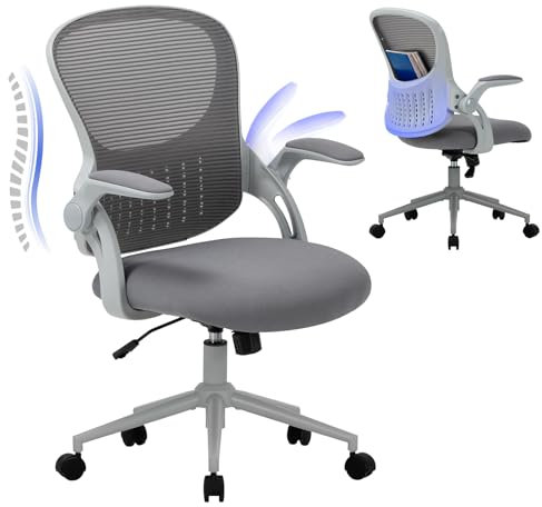 COLAMY Office Chair with Padded 90° Flip-up Armrest, Lumbar Support, Height Adjustable Ergonomic Desk Chair, Executive Swivel Rolling Computer Chair, Comfy Seat Cushion for Home/Office (Grey)