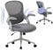 COLAMY Office Chair with Padded 90° Flip-up Armrest, Lumbar Support, Height Adjustable Ergonomic Desk Chair, Executive Swivel Rolling Computer Chair, Comfy Seat Cushion for Home/Office (Grey)