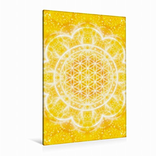 Premium Textil-Leinwand 80 x 120 cm Hoch-Format Blume des Lebens - Lichtkraft | Wandbild, HD-Bild auf Keilrahmen, Fertigbild auf hochwertigem Vlies, Leinwanddruck von Gaby Shayana Hoffmann