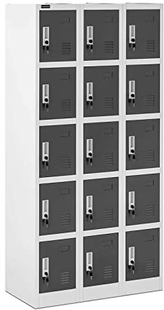 Fromm & Starck Armoire Vestiaire Métallique Casier À Casiers Métal STAR_MCAB_17 (15 Casiers, Capacité 200 kg, Verrouillable, Tôle d'Acier Laminée à Froid, 30 Clés)