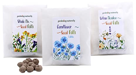 Seed Balls for Gardens, Packs of 10 & 20 - Easy to Plant, Grow, and Nurture (Seedball - Cornflower Pack of 10)