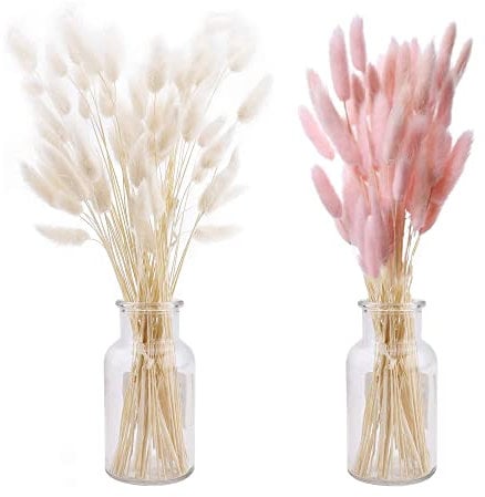 Herbe de Pampa Séchée Ltsbaed 50 Pièces Pampa Séchées Naturelle Décoration DIY Herbe De La Pampa Fleurs Séchées Herbe de Queue de Lapin Séchée pour Boheme Fleurs Déco Anniversaire Mariage(Rose+Blanc)