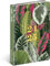 NOTIQUE Terminplaner 2024 2025 Kalender Wochenplaner Buchkalender Taschenkalender Planer Terminkalender Wochenkalender Juli 2024 - Dezember 2025 11x17cm (Leafs)